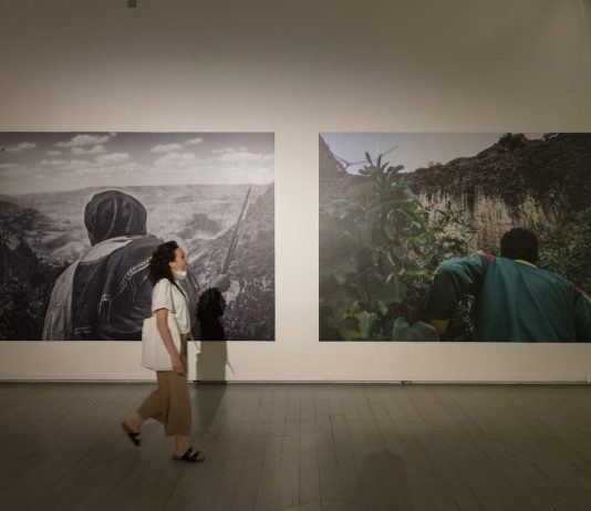 Prospettiva Madre: le sfide del museo, per la Presidente Angela Tecce