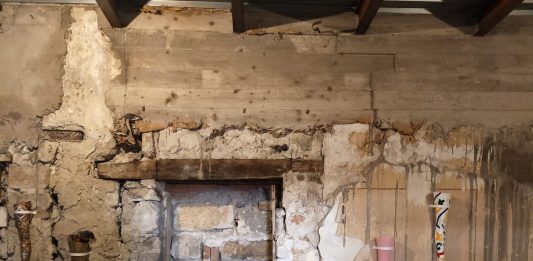 Come Pappagalli Verdi. L’arte risveglia le coscienze dormienti