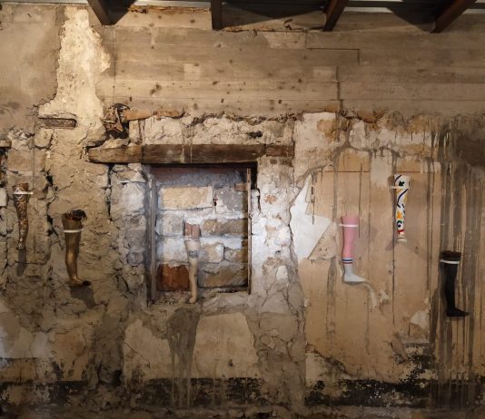 Come Pappagalli Verdi. L’arte risveglia le coscienze dormienti