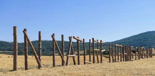 Hypermaremma: l’opera di Claudia Comte a Pescia Fiorentina. Intervista ai fondatori