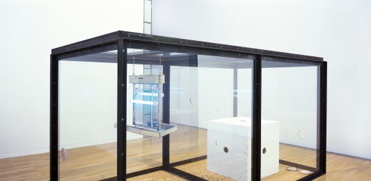 Non muoia una mosca: l’opera di Damien Hirst rimossa dalla mostra