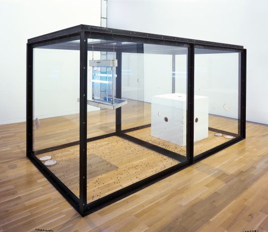 Non muoia una mosca: l’opera di Damien Hirst rimossa dalla mostra