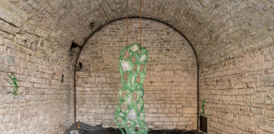 Giovanni Chiamenti con ‘Interspecies Kin’ allo Spazio Volta, Bergamo