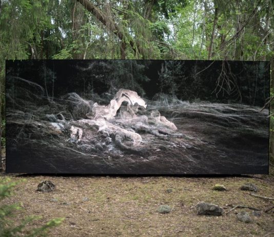 Variants. La mostra site specific di Pierre Huyghe in Norvegia