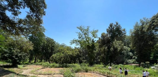 Il Terzo Paradiso di Pistoletto fiorisce nel Cratere degli Astroni, a Napoli