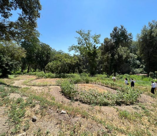 Il Terzo Paradiso di Pistoletto fiorisce nel Cratere degli Astroni, a Napoli