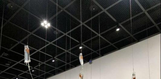 In Corea, un’installazione è stata smantellata per crudeltà verso gli animali