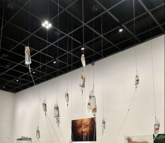 In Corea, un’installazione è stata smantellata per crudeltà verso gli animali