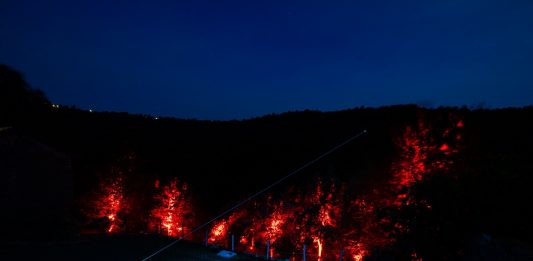 Hybrida Tales by Untitled Association #49: IUNO e Lunetta11