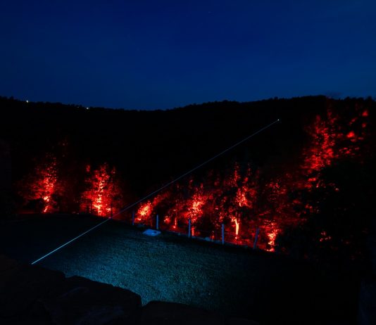 Hybrida Tales by Untitled Association #49: IUNO e Lunetta11