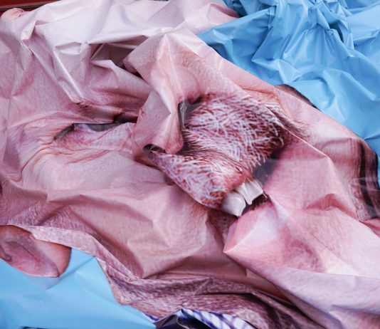 Cortona On The Move 2022: fotografia a 360° – Sedi varie