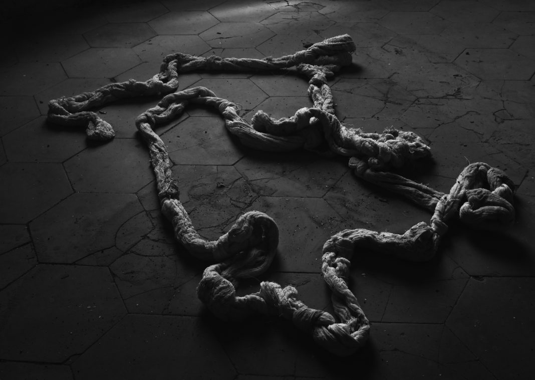 Alcuni scatti della mostra (3)