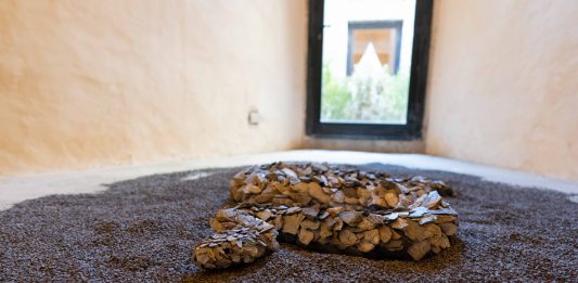 Under a white sky – Forte Stella