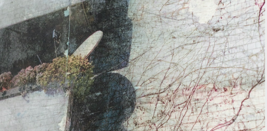 ‘Blueback’: Alessandro Manfrin per Platea | Palazzo Galeano, a Lodi