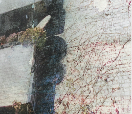 ‘Blueback’: Alessandro Manfrin per Platea | Palazzo Galeano, a Lodi