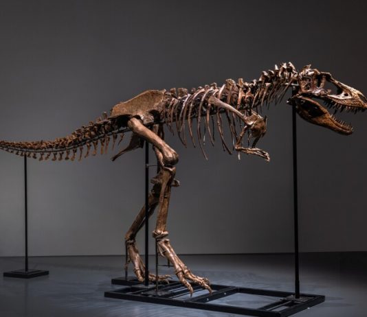 Stranger Things! Gli oggetti più curiosi passati all’asta (da gennaio a oggi) stranger things