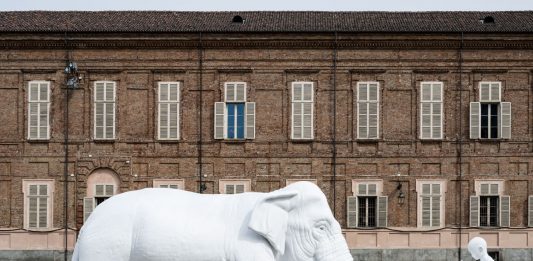 Animali a Corte. Vite mai viste nei Giardini Reali di Torino