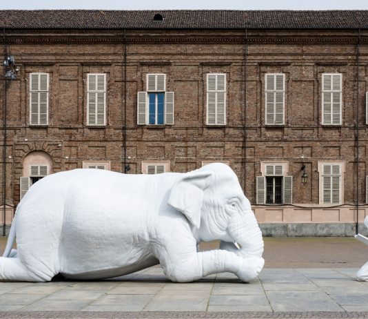 Animali a Corte. Vite mai viste nei Giardini Reali di Torino