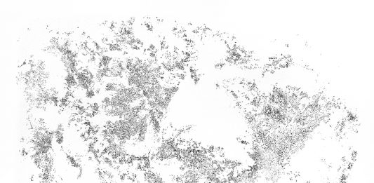 Ciò che dura un sol giorno: Riccardo Arena per Ephemera Festival