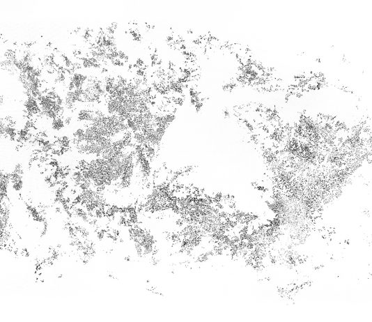 Ciò che dura un sol giorno: Riccardo Arena per Ephemera Festival