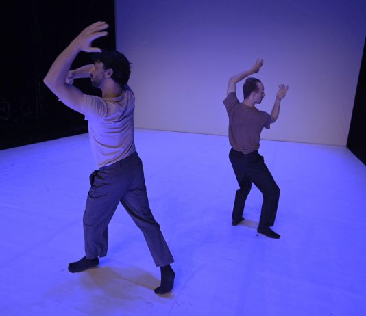 Una poesia di corpi astratti in dialogo, al Festival Torinodanza Un discreto protagonista al Torinodanza