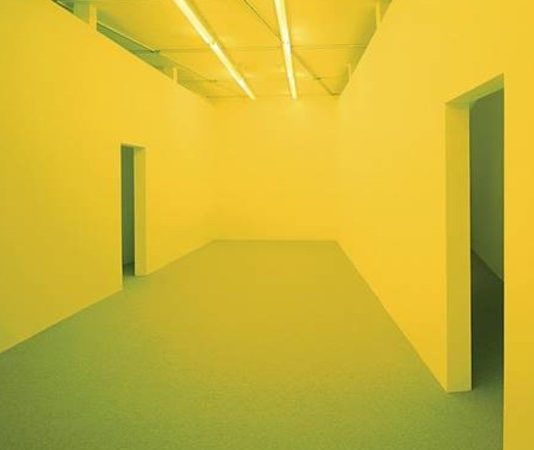 Bruce Nauman – Neons Corridors Rooms