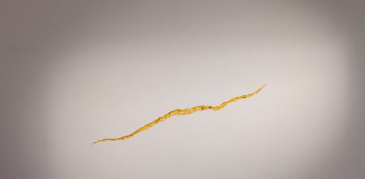 La prima personale di Andrea Francolino da Mazzoleni, Torino: ‘Venne all’esistenza lo Spazio beante’