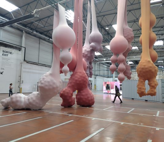 Biennale di Lione: sotto il segno della fragilità