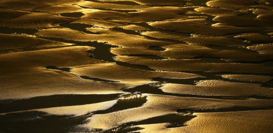 Al via la 41ma edizione di Mercanteinfiera, alle Fiere di Parma