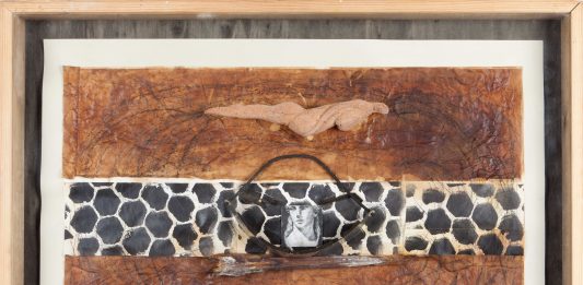 Claudio Costa, Evoluzione-Involuzione – C+N Canepaneri