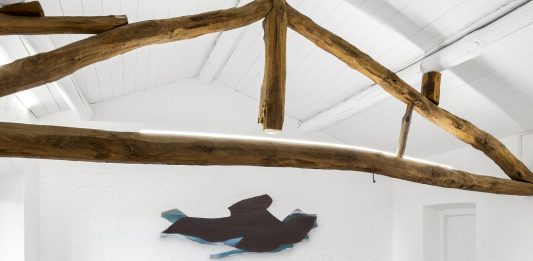 ‘Ai-gerridi-d’acqua’: la mostra personale di Daiga Grantina da Cascina I.D.E.A., ad Agrate Conturbia