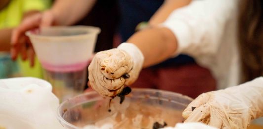 In Bocca al Lupo, viva il lupo: un workshop di Marta Roberti for Kids