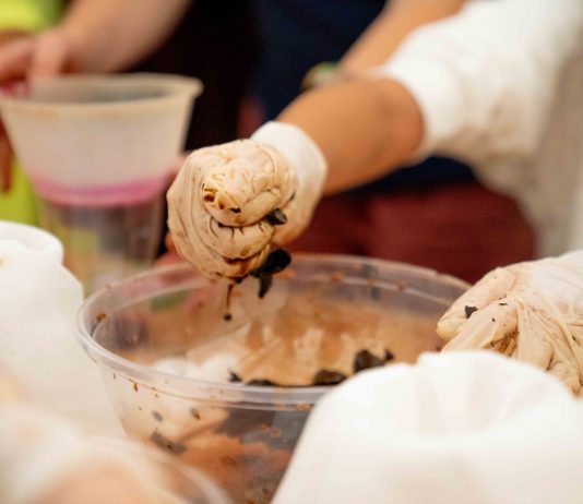 In Bocca al Lupo, viva il lupo: un workshop di Marta Roberti for Kids