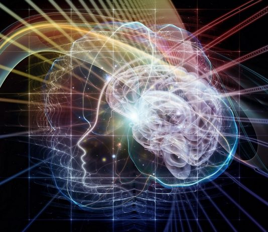 La Mente Meditante. Arte, scienza e meditazione al MAXXI