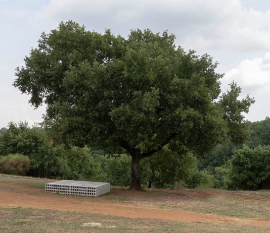 Sculture in campo, Bassano in Teverina ospita la scultura contemporanea
