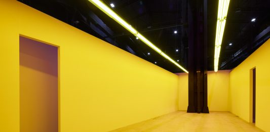 Camere senza vista: Bruce Nauman al Pirelli HangarBicocca