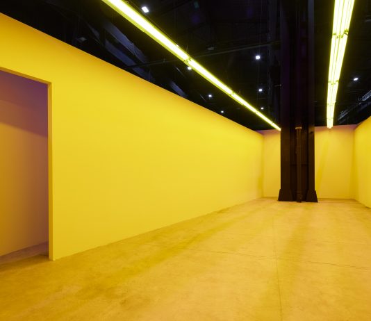 Camere senza vista: Bruce Nauman al Pirelli HangarBicocca