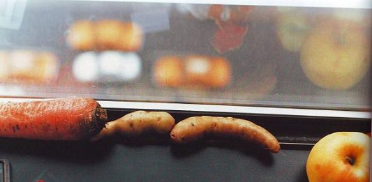 Guardare senza paura: Wolfgang Tillmans al MoMA