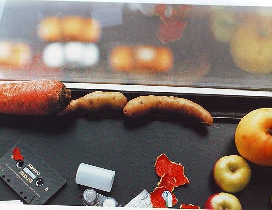 Guardare senza paura: Wolfgang Tillmans al MoMA