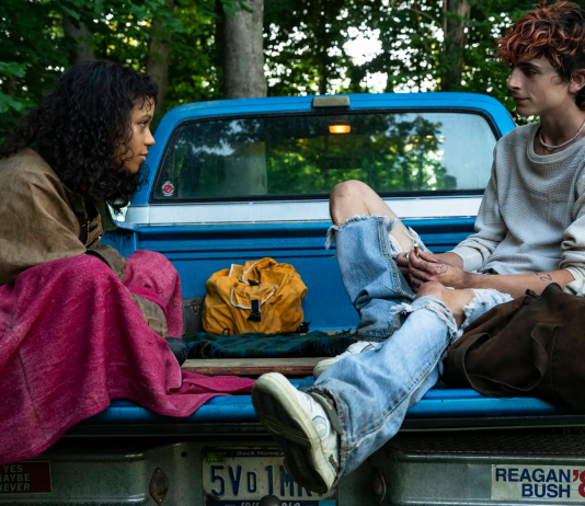 Bones and all, l’estetica dalla mira confusa di Luca Guadagnino