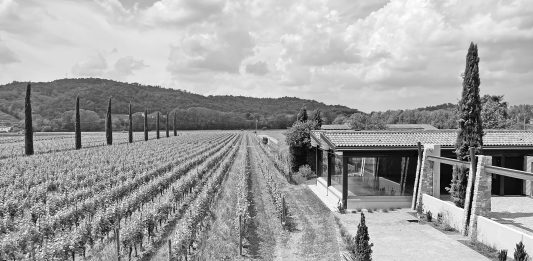 The One, for passionate only: in arrivo l’asta-evento di Cambi Cambi