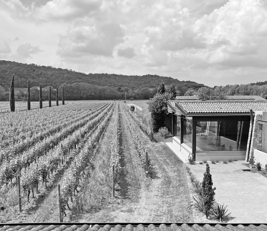 The One, for passionate only: in arrivo l’asta-evento di Cambi Cambi