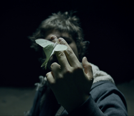 Giornata del Contemporaneo a tema ambiente: i progetti dei musei