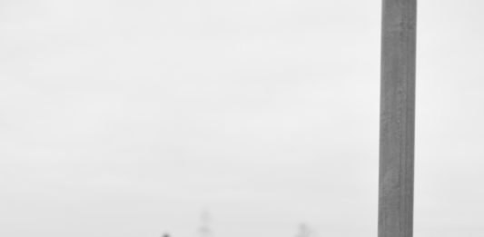 Arte contemporanea al FestivalFilosofia: i progetti di Metronom