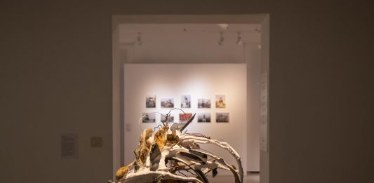 Animal Among Animals, per un’arte (e un’esistenza) antispecista Animal Among Animals mostra