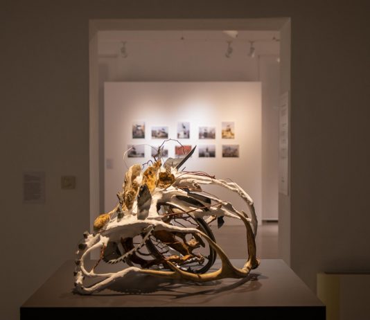 Animal Among Animals, per un’arte (e un’esistenza) antispecista Animal Among Animals mostra