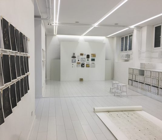 Alice Mestriner e Ahad Moslemi, Hyper Dust: A Series of Post-Human Relations – Depositomele