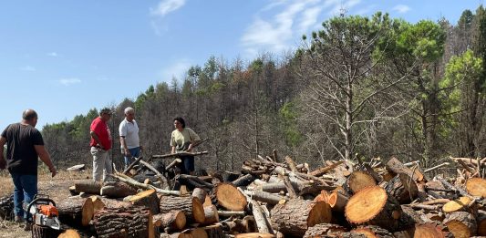 L’eredità viva dell’artista sciamano: a Palermo, la mostra Kontext Beuys