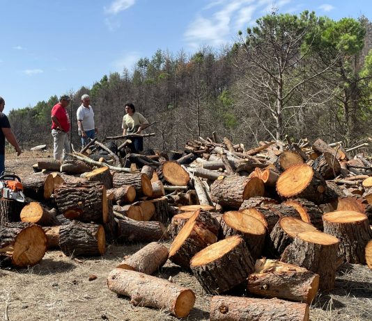 L’eredità viva dell’artista sciamano: a Palermo, la mostra Kontext Beuys