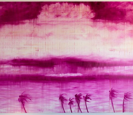 ‘Cromocracy’: Abel Herrero a Spazio Castello Gallery, Venezia